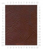 CORTECCIA